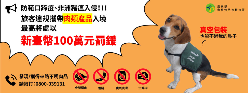 非洲豬瘟零容忍！港務公司強化邊境查驗守國門