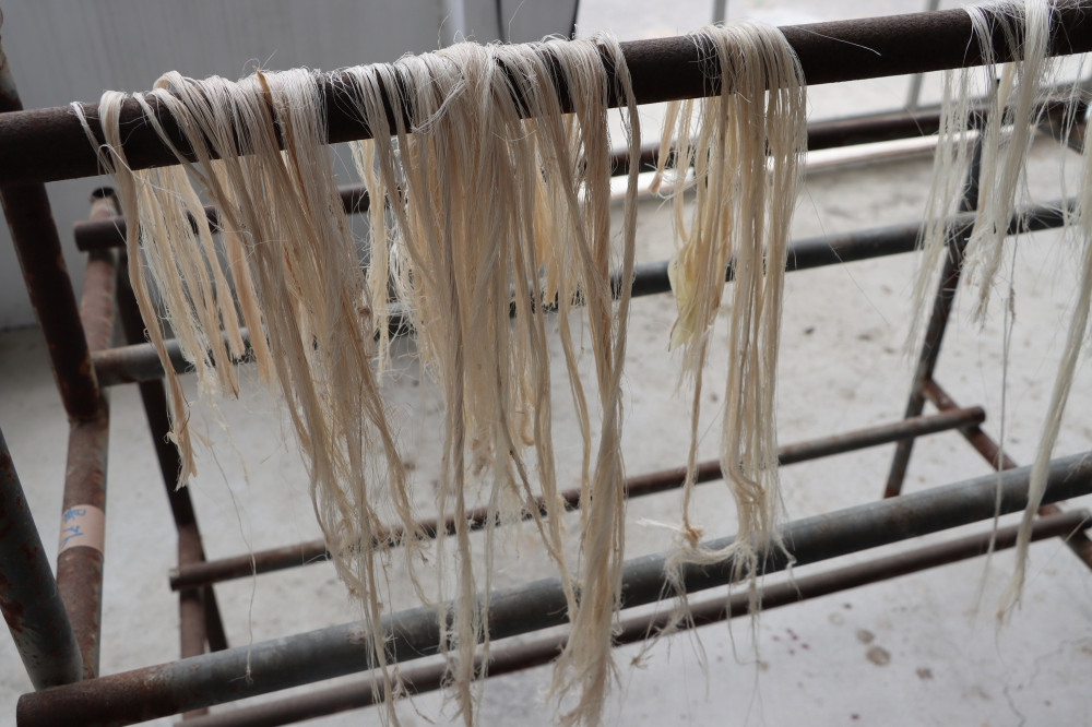 香蕉假莖轉化為再生材料 農糧纖維循環利用創多贏 