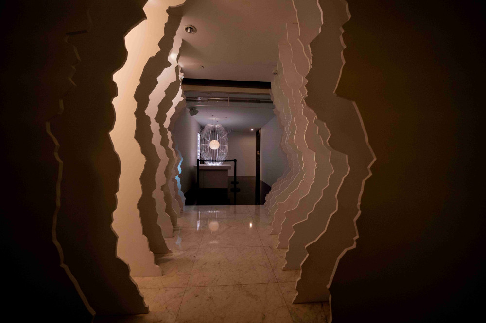 靈性生態理念閃耀國際　《光在萬物》特展獲美國繆思創意金獎