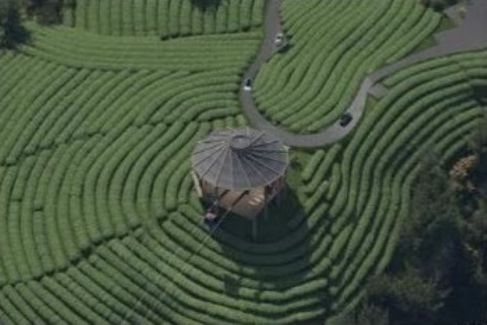 飛越竹山天梯  太極美地纜車預計10月發包