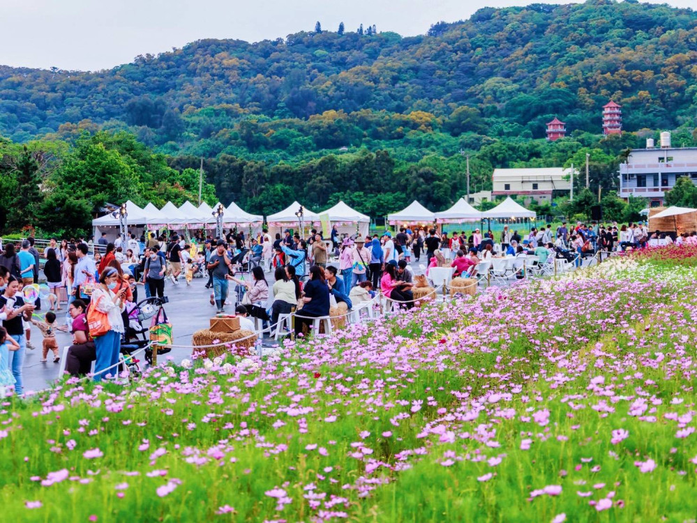 一扇看見世界窗口！框住最美2026陌上花開　鄭朝方邀您5/17帶太陽回家