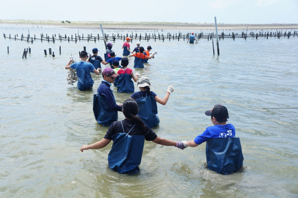 台江國家公園「台江海人營」第 14 屆即將開啟