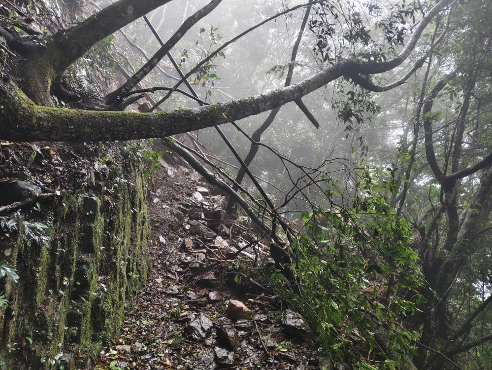 遇豪雨崩塌緊急搶修　霞喀羅國家步道21.8K處(近養老端)暫停開放至7/20