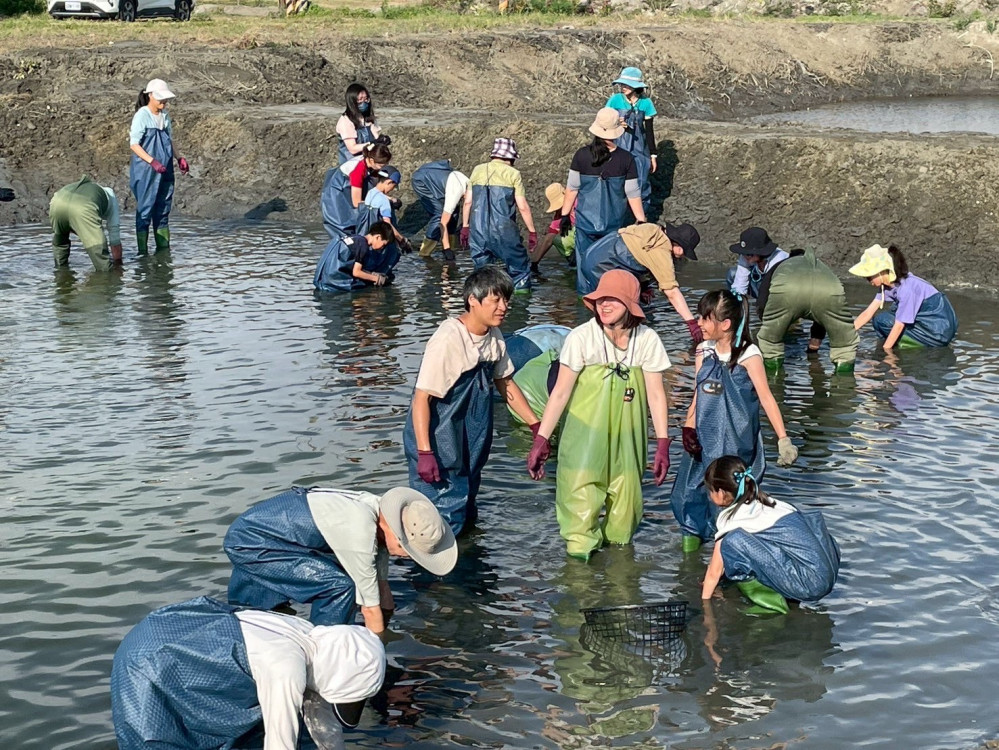 臺南推雙層巴士遊程 打造特色旅遊品牌