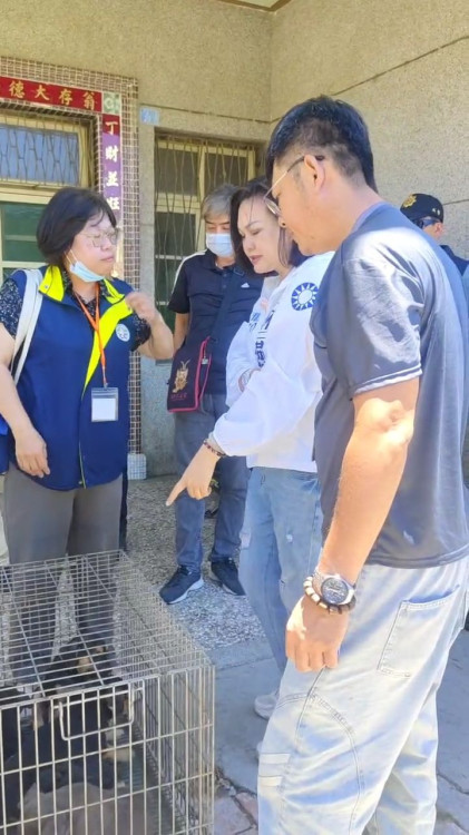 台南市安南區5幼犬後腿重傷引關注 林燕祝籲以科學釐清真相
