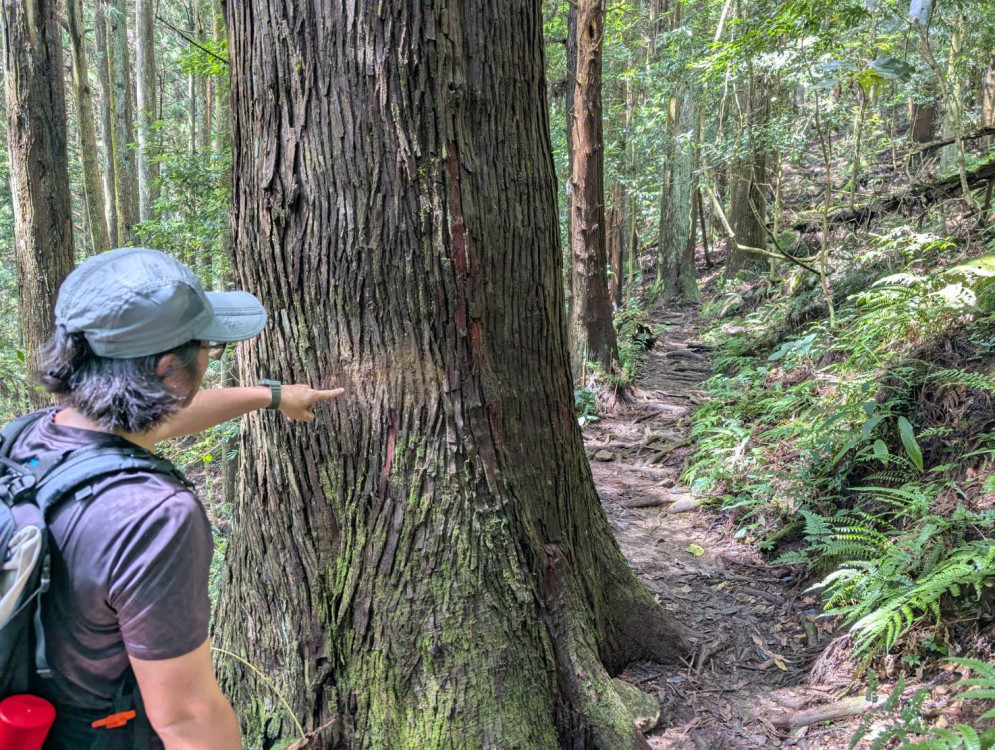 登山離線地圖、簡易路標都要學　林保署新竹：認路、環保能兩全》