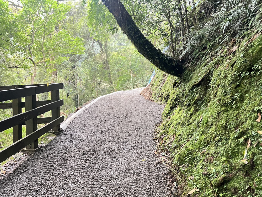 拉拉山國家遊樂區巨木步道土石崩落搶修完成　7月18日正式恢復開園