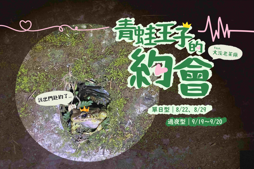 品茶香、聽蛙鳴　東眼山攜手大溪老茶廠推出青蛙王子約會親子環教活動