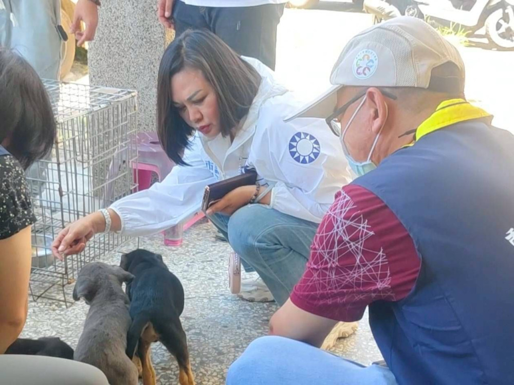 台南市安南區5幼犬後腿重傷引關注 林燕祝籲以科學釐清真相