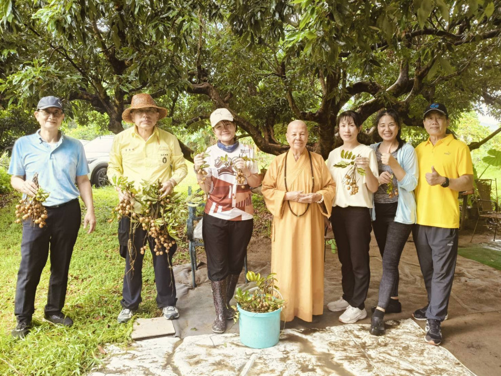 新化救國團陳珮琳棄光電救老樹 酪梨農園開放龍崎教養院生採果