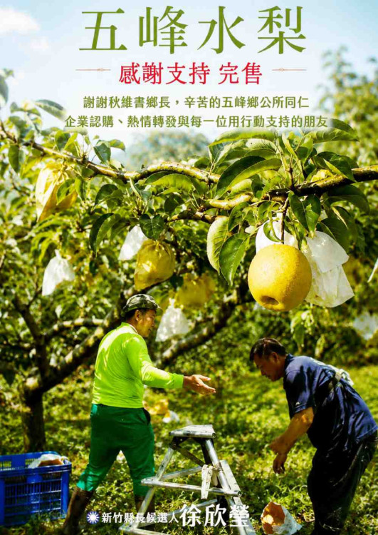 颱風搶收五峰水梨　徐欣瑩發起認購行動全數完售感謝各界應援助果農度難關