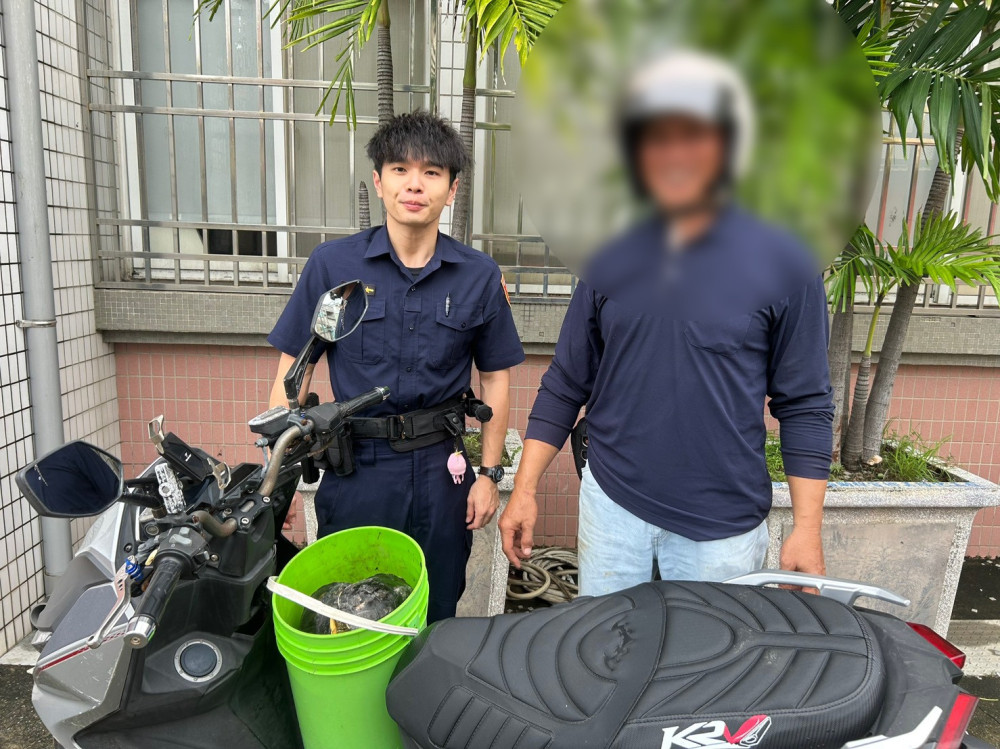 烏龜集體「出門散步」！梓官警化身救龜特攻隊