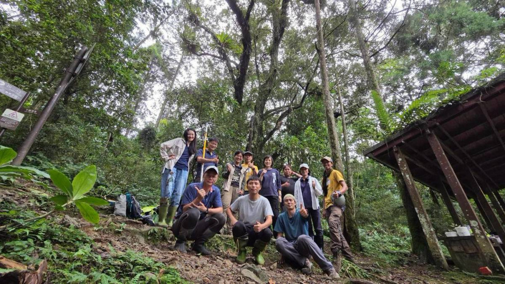 復育珍貴原生植物　林保署新竹分署公私協力將櫻石斛回歸原生地內洞森遊區