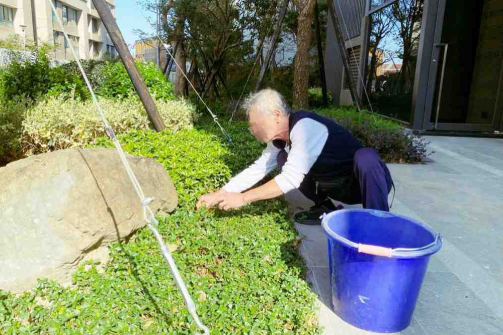 勞動部「施用毒品者就業服務計畫」助攻　桃竹苗分署協助高齡藥癮更生人穩定就業