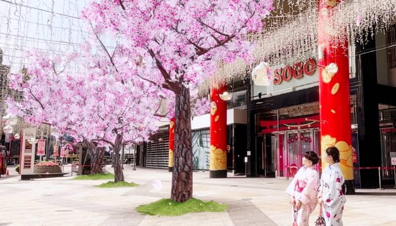 結合AR擴增實境邊嚐美食邊賞櫻　新竹SOGO「春季日本展」打造正宗日式雜貨商店街