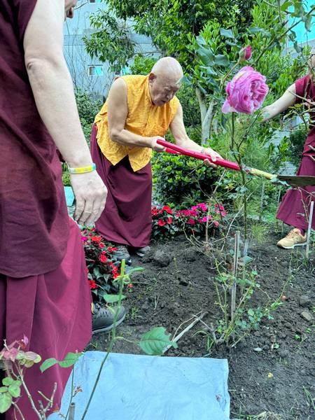 藏傳佛教直貢法王於釋迦牟尼佛涅槃日 加持祝福神木谷期望再創千年傳奇 