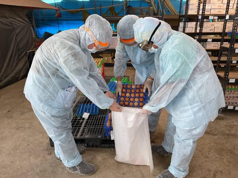 臺南蛋雞場確診禽流感 動保處籲養禽業落實生物安全