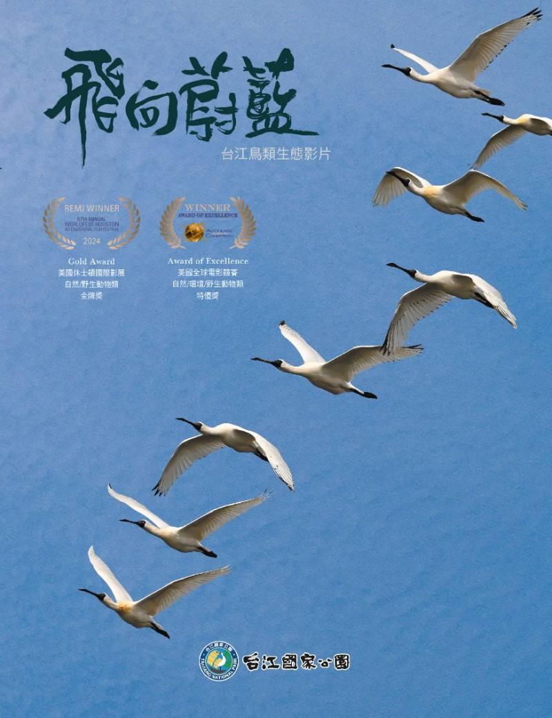 台江鳥類生態影片《飛向蔚藍》榮獲2項國際大獎