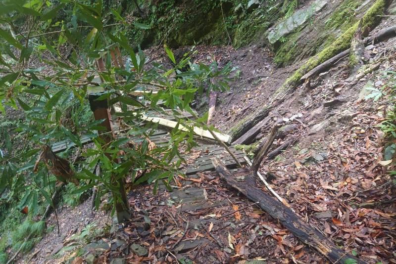 遊客小心通行　霞喀羅國家步道部分路段土石崩落樹木倒伏　